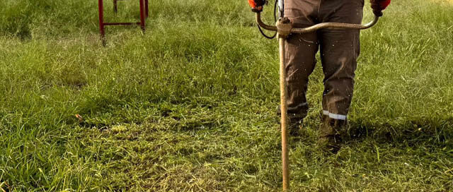 Puerto Iguazú refuerza el mantenimiento de áreas verdes en distintos barrios