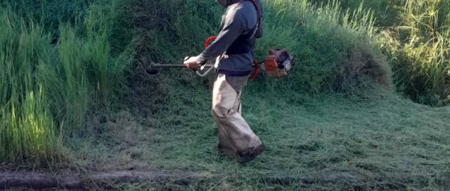 Wanda intensifica tareas de desmalezamiento en barrios y espacios públicos