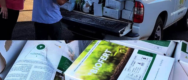 Campo Viera inicia la entrega de fertilizantes a productores locales