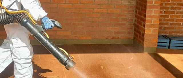 ESCUELAS MÁS SEGURAS: Eldorado realiza fumigación y desratización antes del inicio de clases