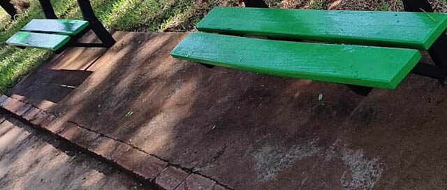 Puerto Libertad avanza con tareas de mantenimiento en espacios públicos de la ciudad