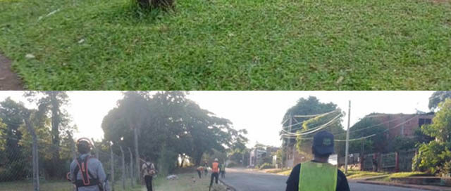 Refuerzan tareas de mantenimiento y limpieza de espacios verdes en Puerto Iguazú