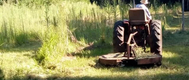 Alberdi: el municipio intensifica trabajos de limpieza en escuelas previo al inicio de clases