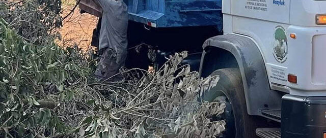 La Municipalidad de Andresito realiza trabajos de poda y recolección de residuos en el barrio Quintas Bajas