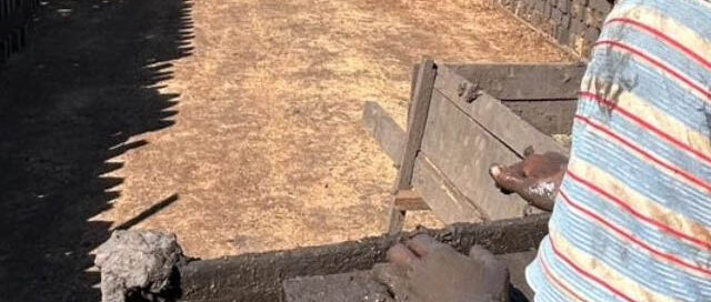 Azara acompaña a las familias oleras y fortalece la producción local