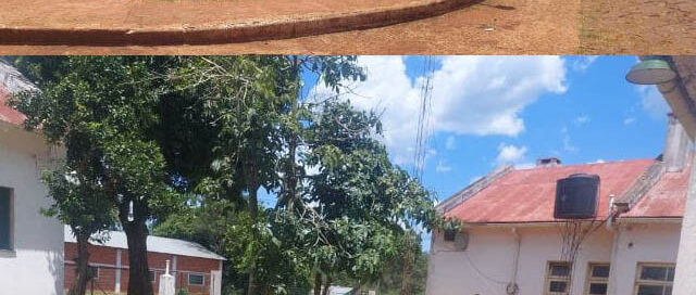 Campo Viera: el Municipio avanza con el mantenimiento escolar de cara al ciclo lectivo 2026