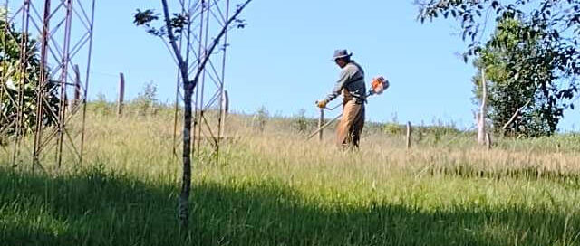 Campo Viera: el Municipio realizó tareas de limpieza y mantenimiento en escuelas rurales