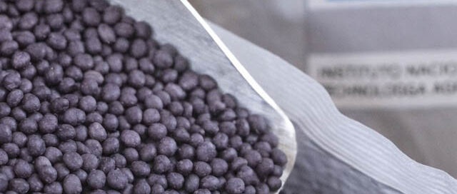 25 de Mayo: abren pedidos de semillas de cebolla morada INTA para productores locales