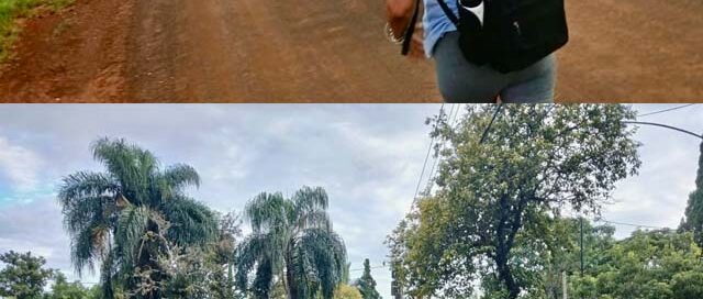 Puerto Rico: realizaron una caminata al Monte Seguín con participación de distintas áreas municipales