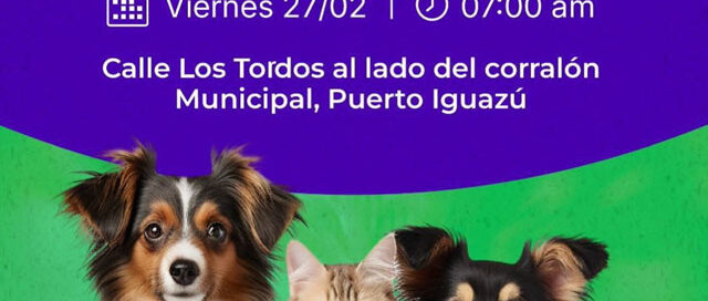 Otorgarán turnos para castración de mascotas este viernes en el barrio