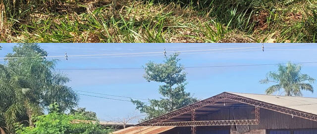 Realizaron tareas de limpieza y mantenimiento en el barrio Bicentenario tras reuniones con vecinos