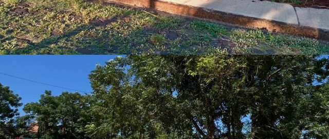 Puerto Rico: realizaron tareas de mantenimiento en el espacio verde del barrio Cerro Azul