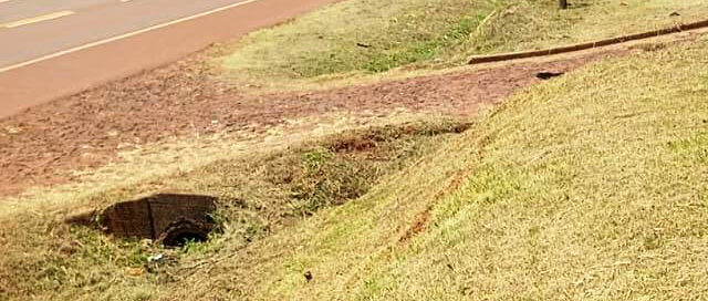 Campo Viera avanza con tareas de limpieza y mantenimiento en el Acceso Sur