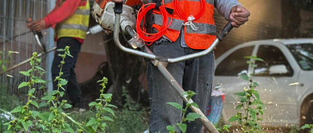 Puerto Iguazú inició tareas de acondicionamiento en escuelas de cara al inicio del ciclo lectivo