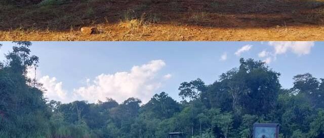 Iguazú avanza con trabajos de nivelación en las 2000 Hectáreas por próximas grabaciones de una serie de Netflix