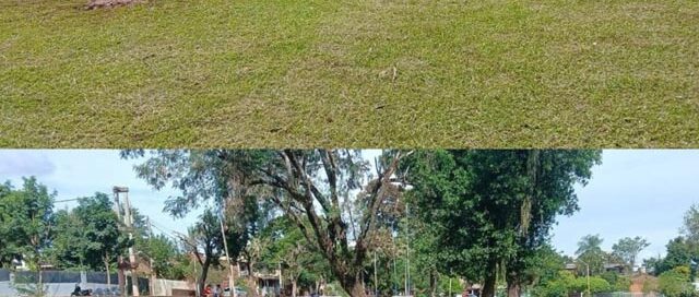 Puerto Iguazú refuerza tareas de mantenimiento y cuidado de plazas y espacios verdes en distintos barrios