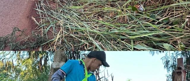 Realizaron tareas de limpieza y mantenimiento sobre la avenida Libertador en Iguazú