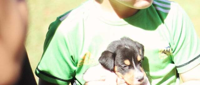 POSADAS: El I.Mu.S.A. presenta su cronograma semanal